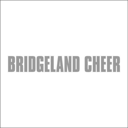 Bridgeland High School