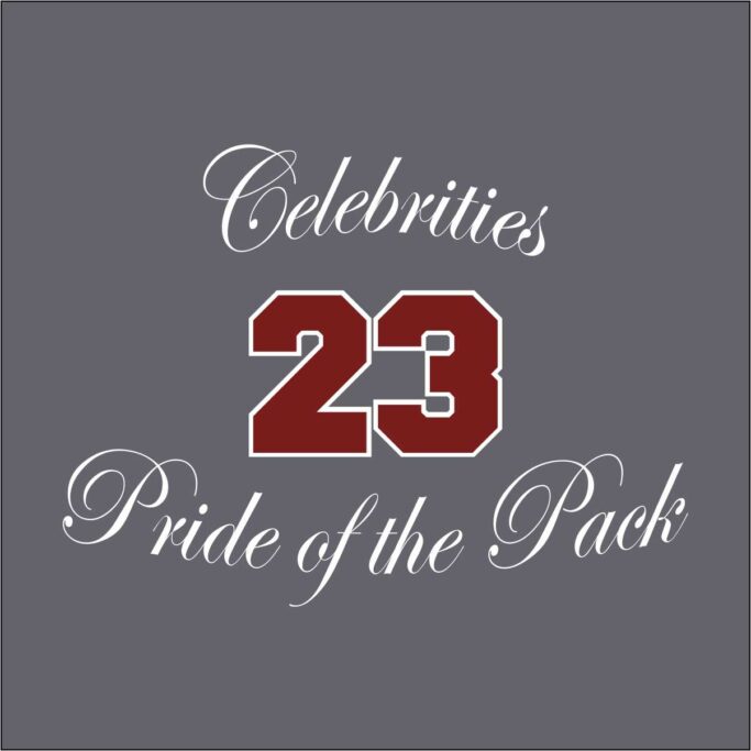 **OPTIONAL** TIMBERVIEW CHEER JACKET - Image 2