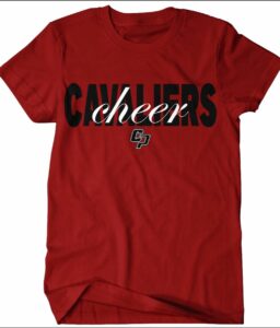 **REQUIRED** COLLEGE PARK PAPRIKA COMFORT COLOR  T-SHIRT